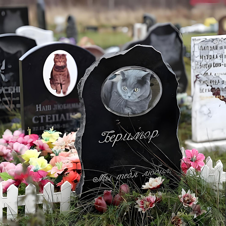 Millised kohandamisvõimalused tõstavad lemmikloomade memoriaalplaate kaugemale põhinimedest?